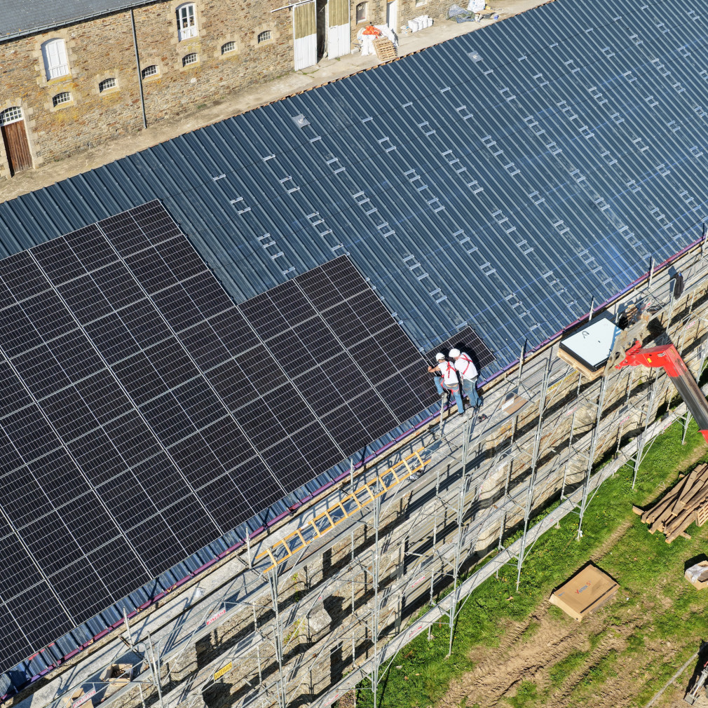 dji 20251017154624 d