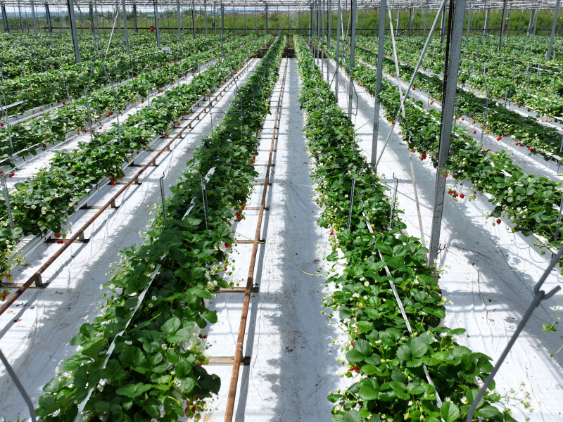 dji 20240610151106 d dji 20240610151106 d