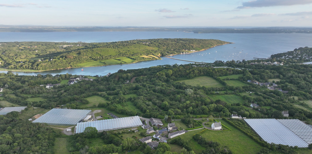 dji 20240610212110 d