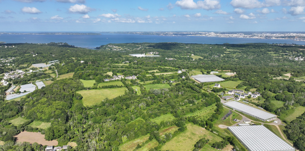 dji 20240611103030 d