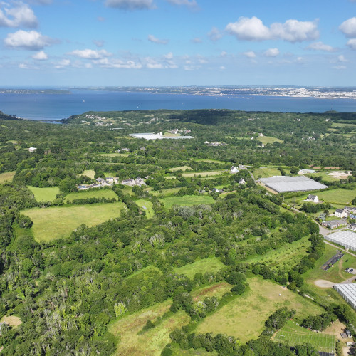 dji 20240611103030 d