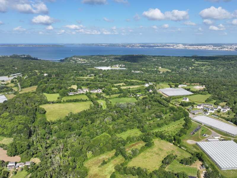 dji 20240611103030 d dji 20240611103030 d