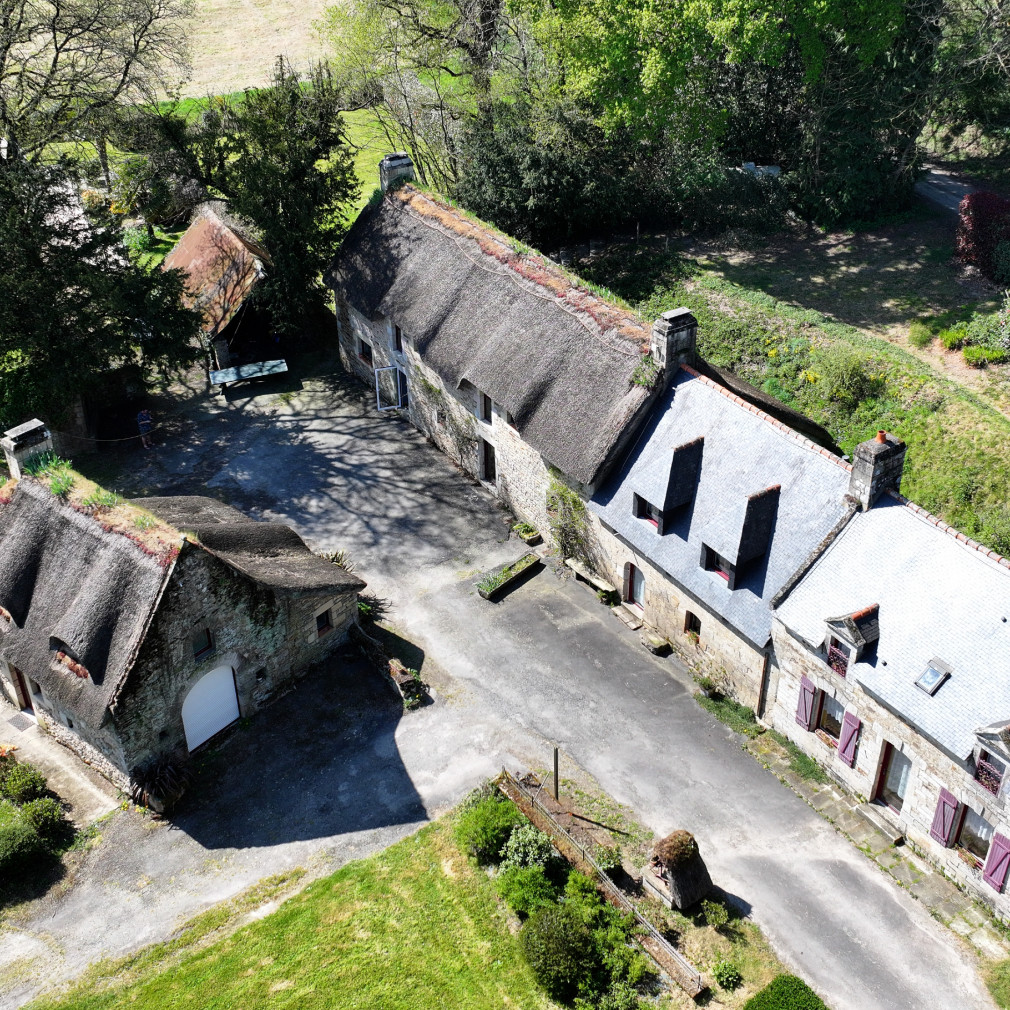 dji 20250411154446 d