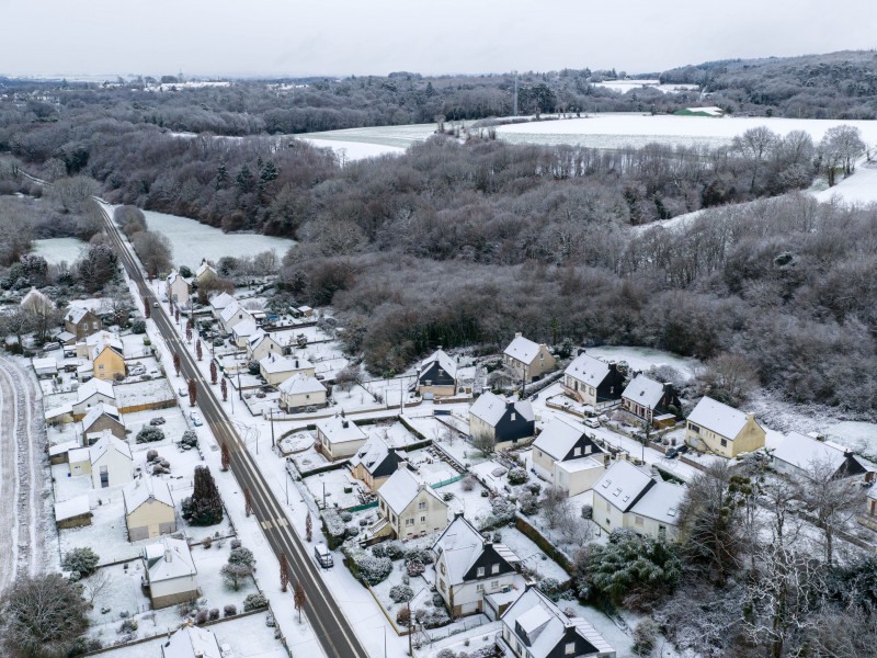 stival 05012025 stival 05012025