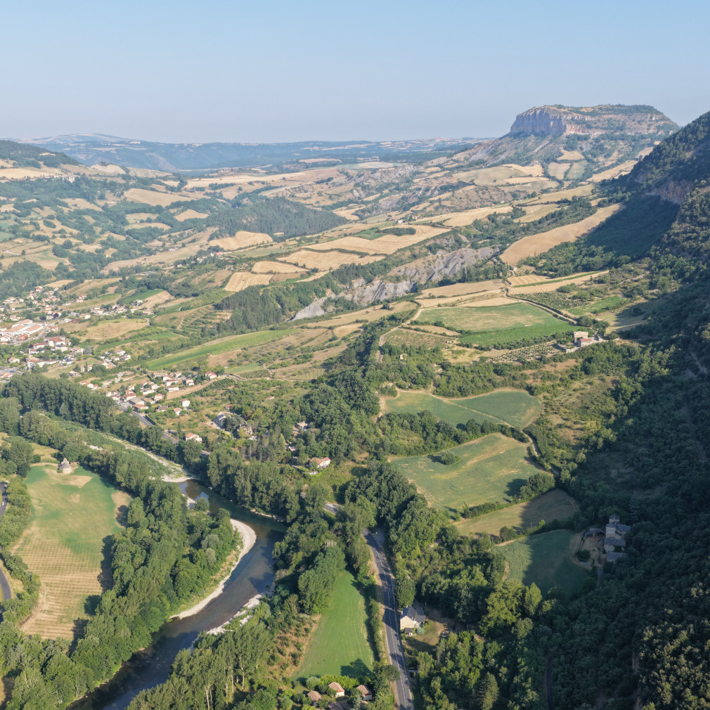 dji fly 20250714 084802 0006 photo