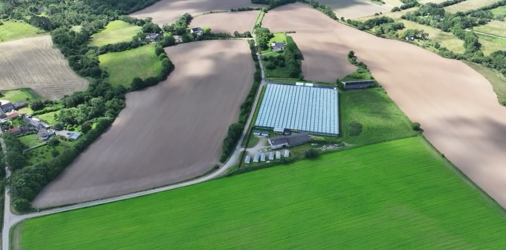 damien apolline rio producteurs de