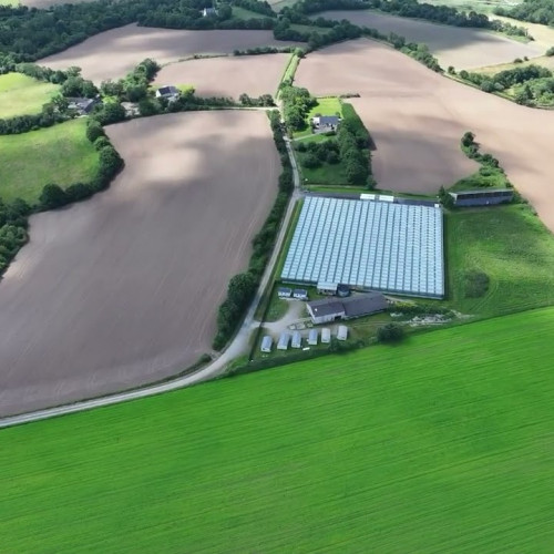 damien apolline rio producteurs de