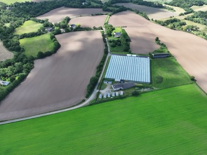 damien apolline rio producteurs de damien apolline rio producteurs de