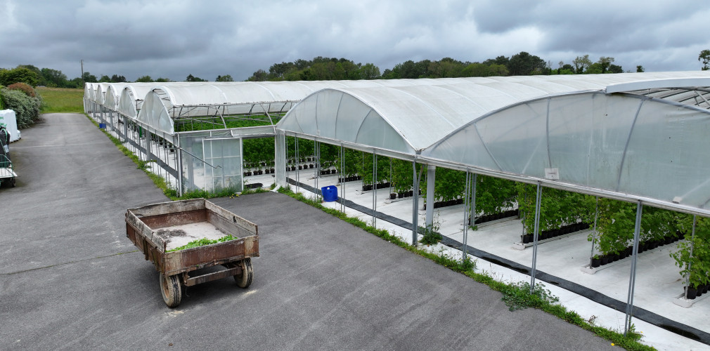 dji 20240528142216 d