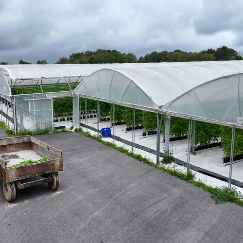 dji 20240528142216 d