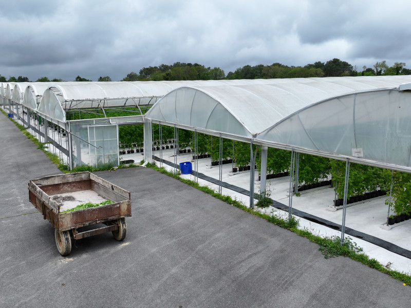 dji 20240528142216 d dji 20240528142216 d