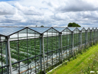 dji 20240610145011 d