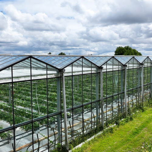 dji 20240610145011 d