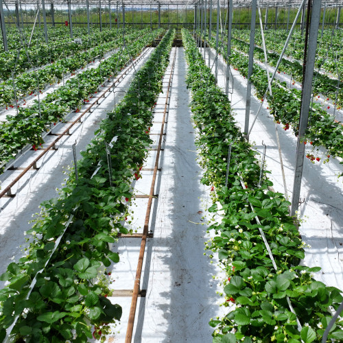 dji 20240610151106 d