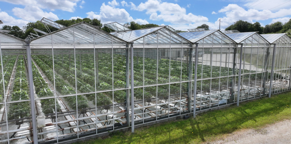 dji 20240610155856 d