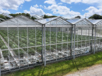 dji 20240610155856 d