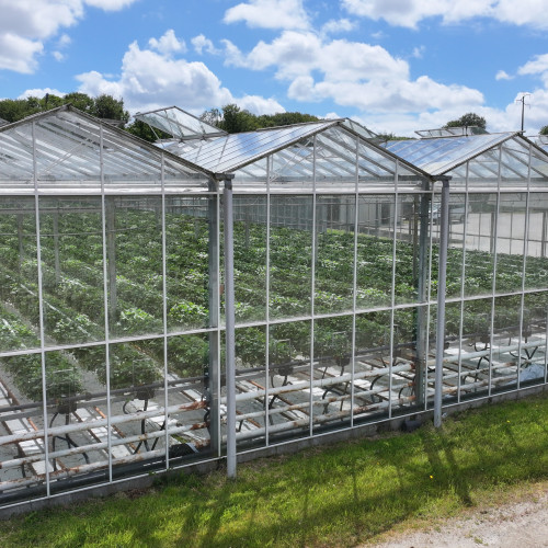 dji 20240610155856 d