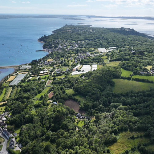 dji 20240610174340 d