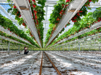 dji 20240610180910 d