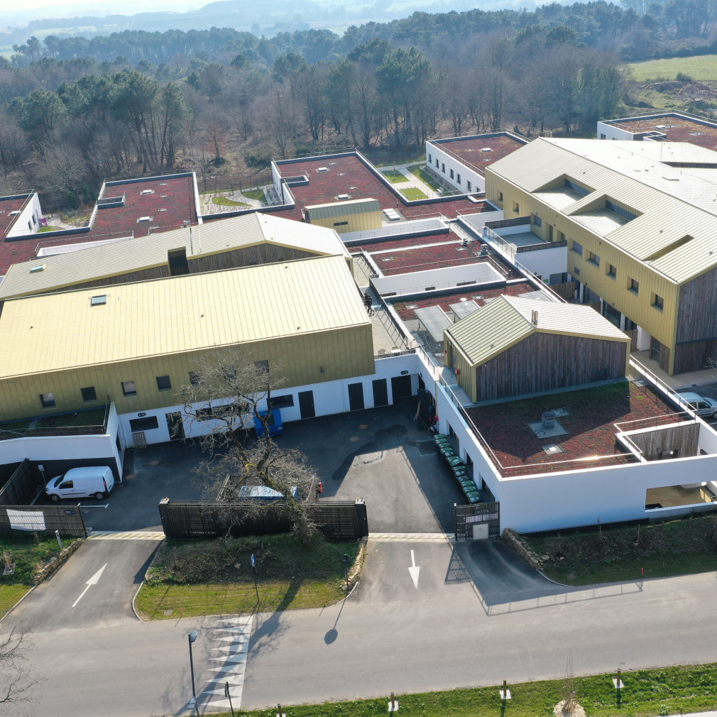 dji