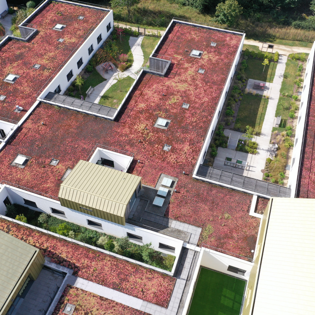 dji