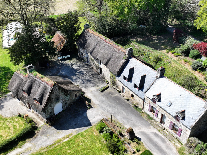 dji 20250411154446 d dji 20250411154446 d